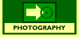 Portfolio of Photography at Triplica.com